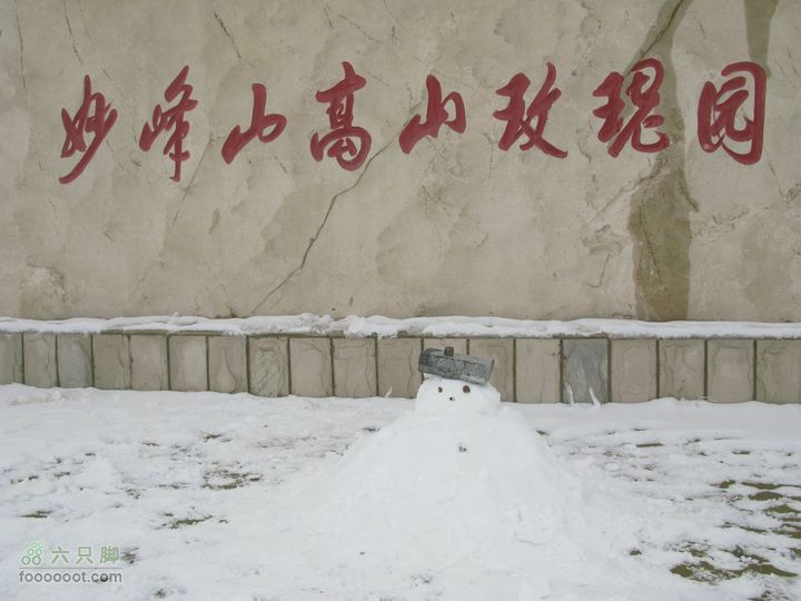 春天里北京下了一场冬天的雪------妙峰山踏雪寻玫堆成雪人。