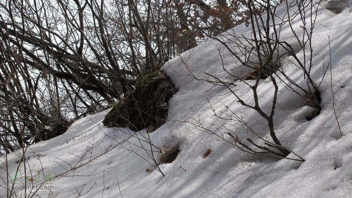 【西南骑兵团】2012.3.17自驾崆峒山IMG_3102