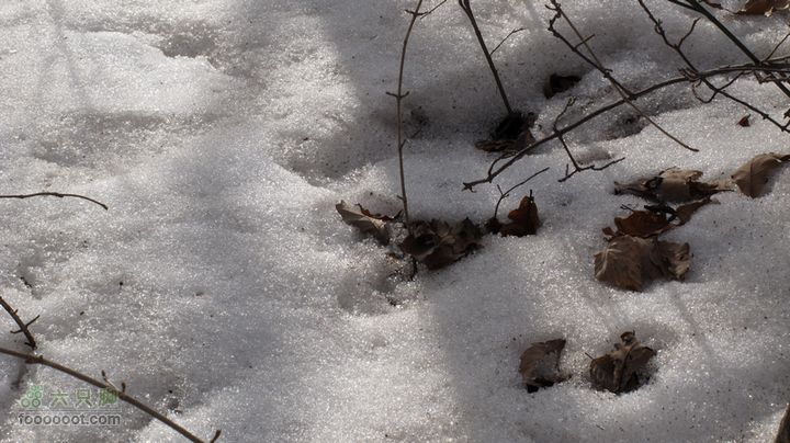 【西南骑兵团】2012.3.17自驾崆峒山IMG_3112