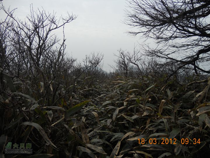 【北风户外】桐庐，观音尖环线（华家塘上，甘竹村下）DSCN6199