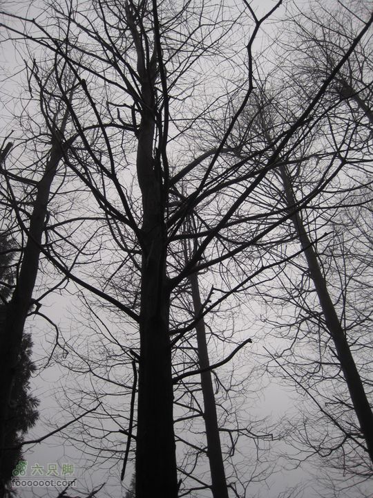 【北风户外】桐庐，观音尖环线（华家塘上，甘竹村下）IMG_1977