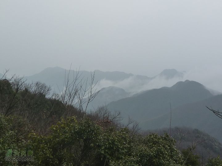 【北风户外】桐庐，观音尖环线（华家塘上，甘竹村下）P1010367