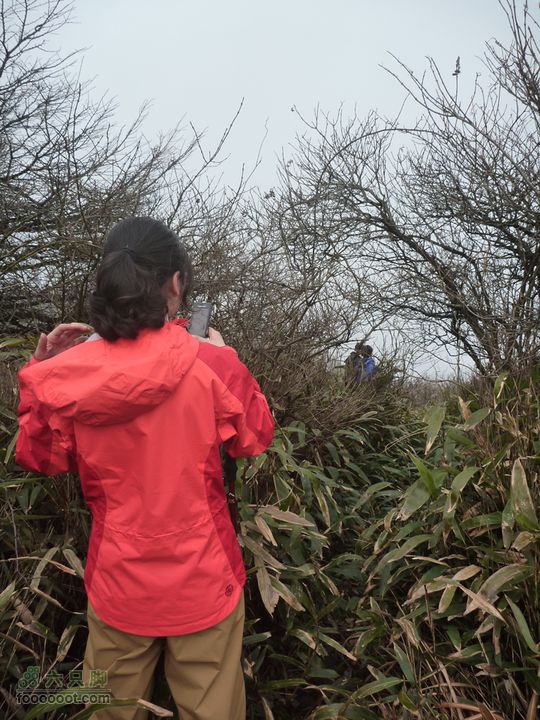 【北风户外】桐庐，观音尖环线（华家塘上，甘竹村下）P1010379