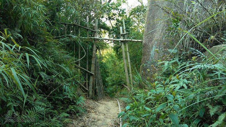 珠海凤凰山_里神前-滚石路-神C-径东山-中大五院-里神前栅栏