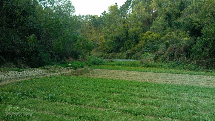 珠海凤凰山_里神前-滚石路-神C-径东山-中大五院-里神前农田