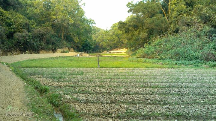 珠海凤凰山_里神前-滚石路-神C-径东山-中大五院-里神前农田