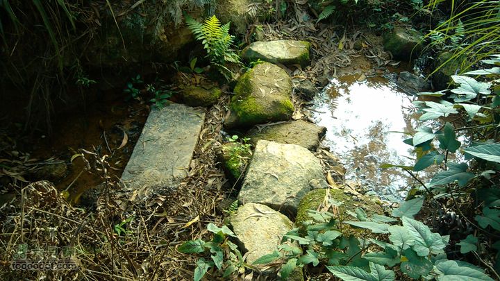 珠海凤凰山_里神前-滚石路-神C-径东山-中大五院-里神前不解释