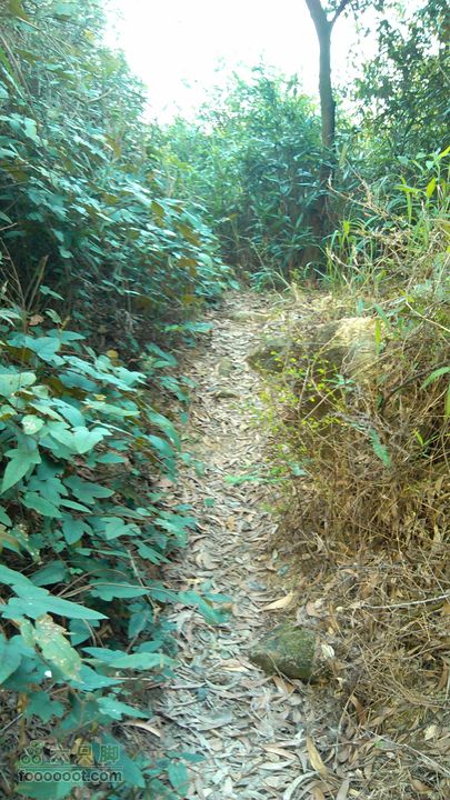 珠海凤凰山_里神前-滚石路-神C-径东山-中大五院-里神前路况