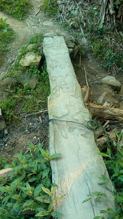 珠海凤凰山_里神前-滚石路-神C-径东山-中大五院-里神前木桥板