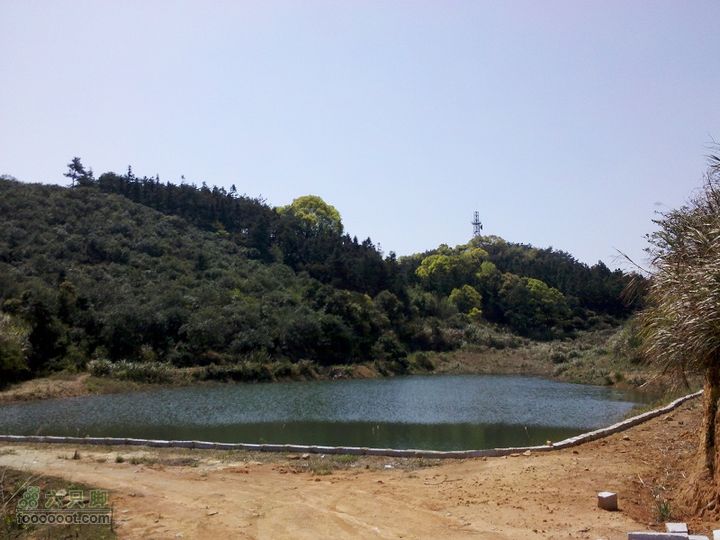 赤星村－昇山寺－叶洋村－岭头－森林公园南门－动物园2012_0325_111254
