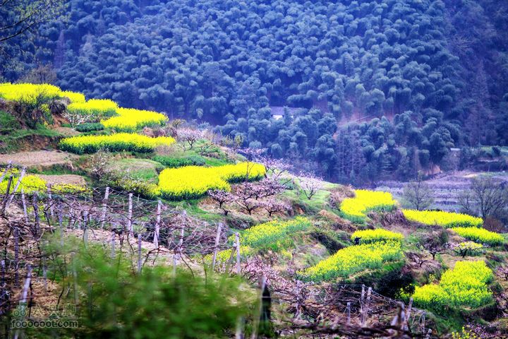 杭州到富阳新登半山村IMG_9797