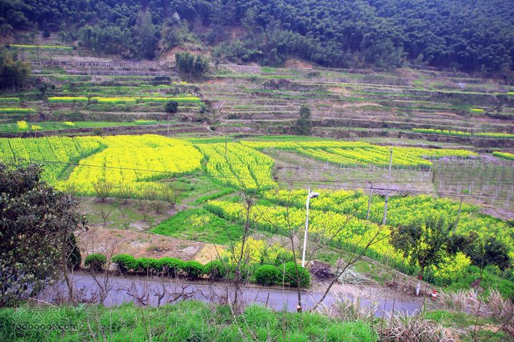 杭州到富阳新登半山村IMG_9902