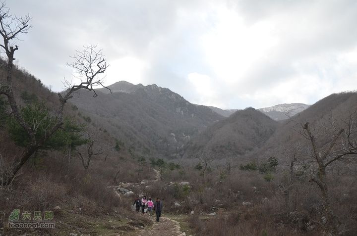 洛源到龙潭DSC_0200