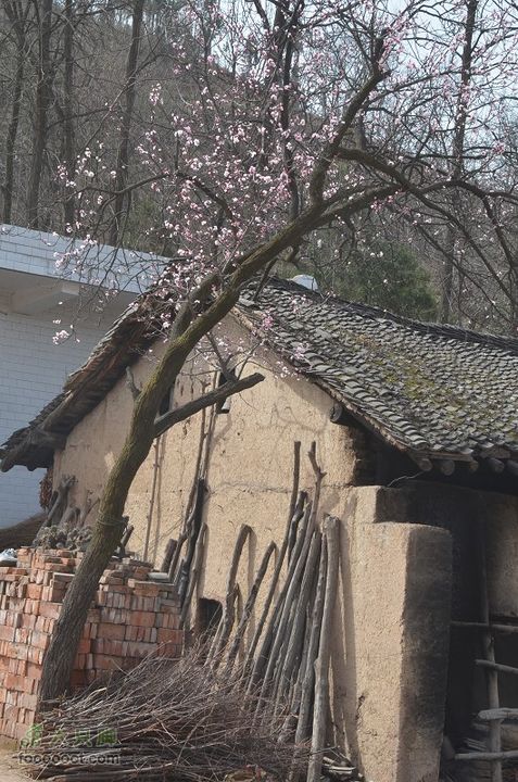 保安骑行至黑龙口DSC_0313