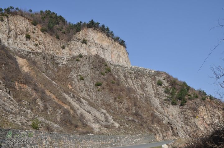 黑龙口到油坊坪DSC_0435