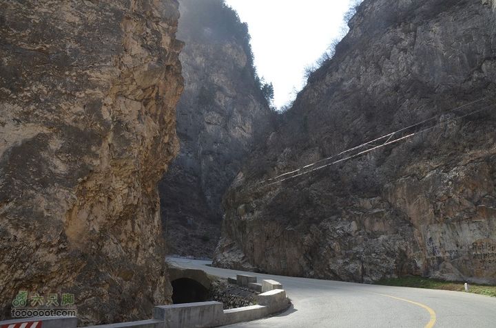 黑龙口到油坊坪DSC_0415