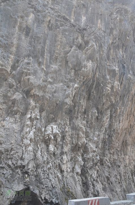 黑龙口到油坊坪DSC_0409