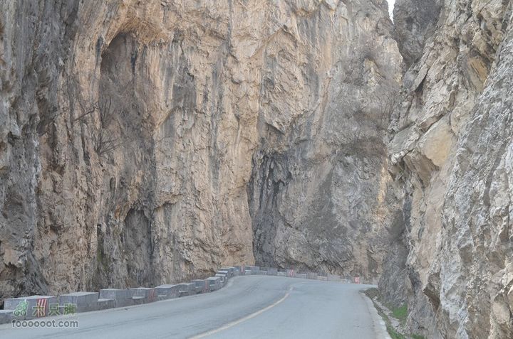 黑龙口到油坊坪DSC_0408