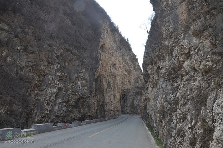 黑龙口到油坊坪DSC_0406