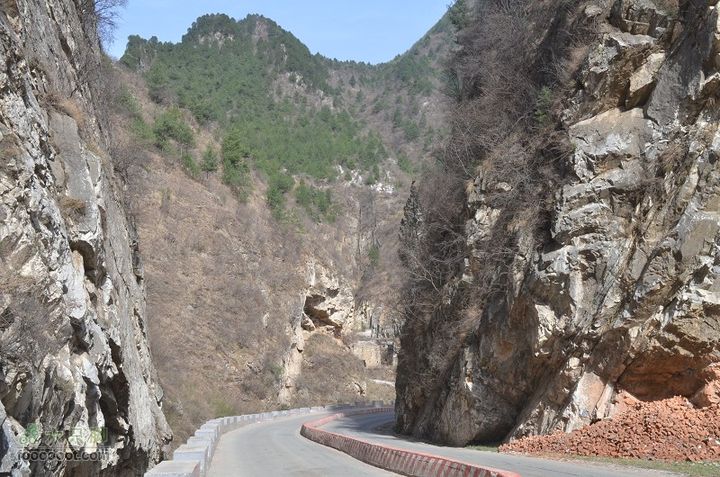 黑龙口到油坊坪DSC_0402