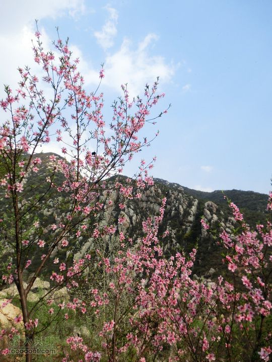 嵩山草甸穿越CIMG0153
