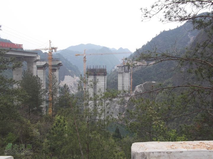 扶志猛洞河羊峰石堤环线还是这个桥
