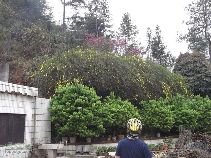 扶志猛洞河羊峰石堤环线这好看，我要射几张