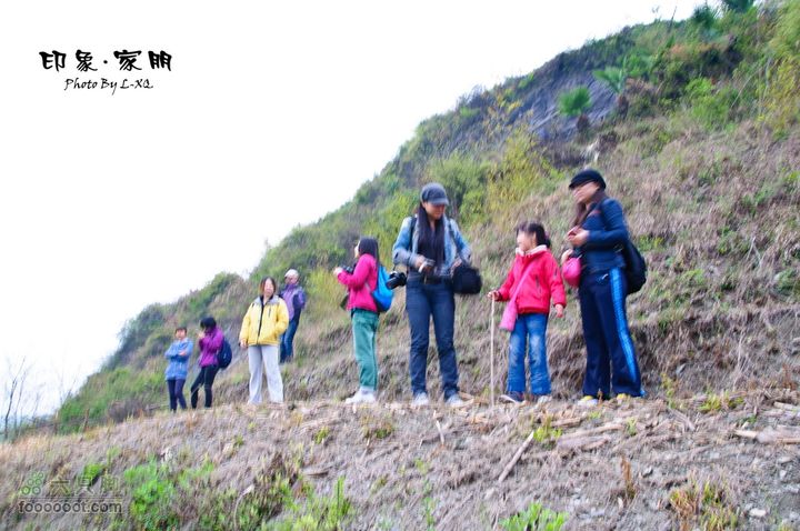 家朋油菜花，荆州小九华(添加一些去年新安江山水画廊的)家朋油菜花-9162