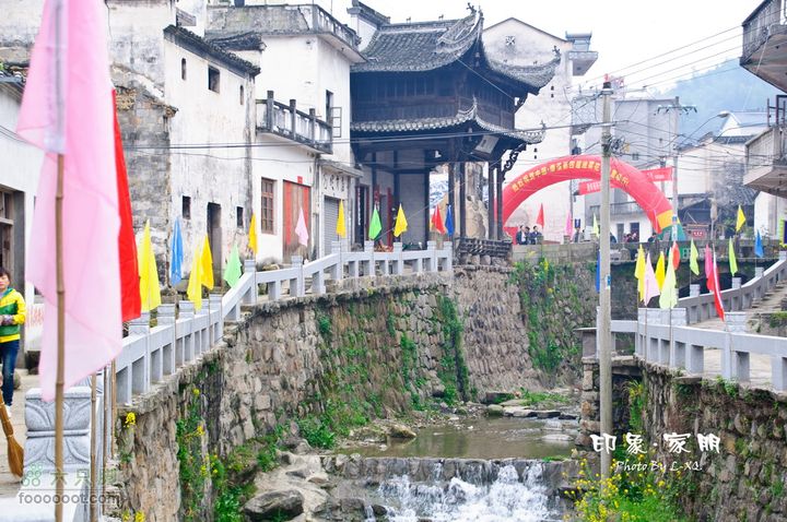 家朋油菜花，荆州小九华(添加一些去年新安江山水画廊的)家朋油菜花-9191