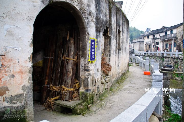 家朋油菜花，荆州小九华(添加一些去年新安江山水画廊的)家朋油菜花-9204