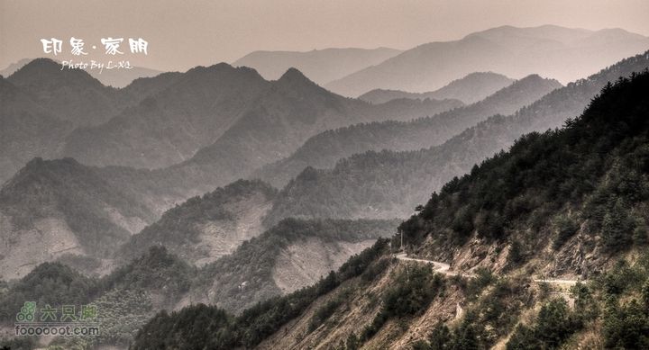 家朋油菜花，荆州小九华(添加一些去年新安江山水画廊的)家朋油菜花-9269