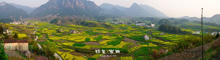 家朋油菜花，荆州小九华(添加一些去年新安江山水画廊的)家朋全景图1