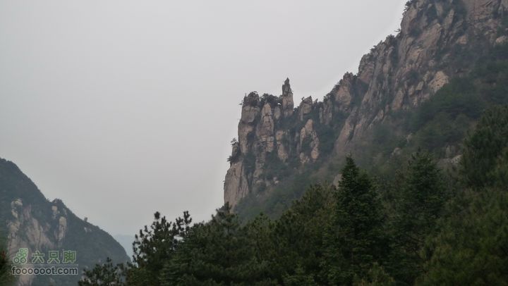 家朋油菜花，荆州小九华(添加一些去年新安江山水画廊的)P1090669