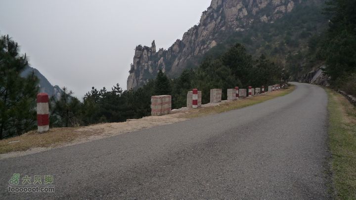 家朋油菜花，荆州小九华(添加一些去年新安江山水画廊的)P1090671