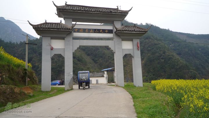 家朋油菜花，荆州小九华(添加一些去年新安江山水画廊的)P1090685