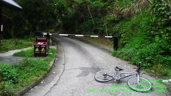 2012 04 12 沙田坳道、飛鵝山道P1460316