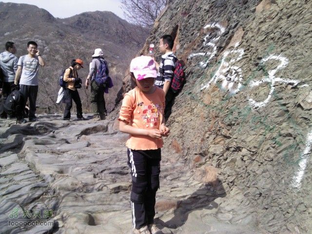 韭园-小狗之家-圈门看山花烂漫看马蹄窝的真不少