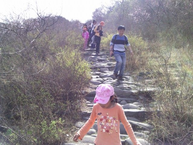 韭园-小狗之家-圈门看山花烂漫开始下山了