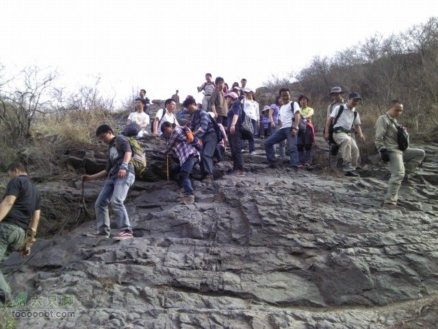 韭园-小狗之家-圈门看山花烂漫人多吧左右开弓。