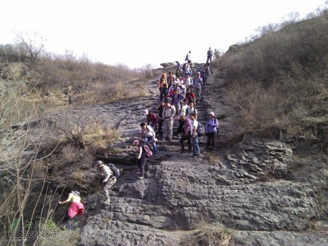韭园-小狗之家-圈门看山花烂漫又来一批队伍