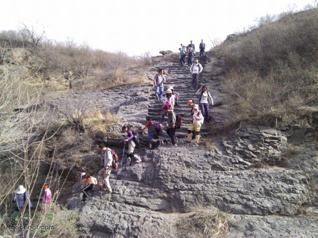 韭园-小狗之家-圈门看山花烂漫终于出现我们队的人了。