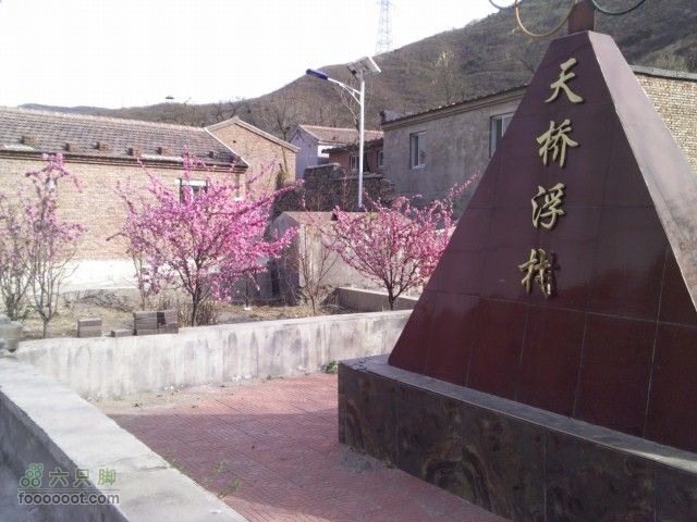 韭园-小狗之家-圈门看山花烂漫天浮桥村