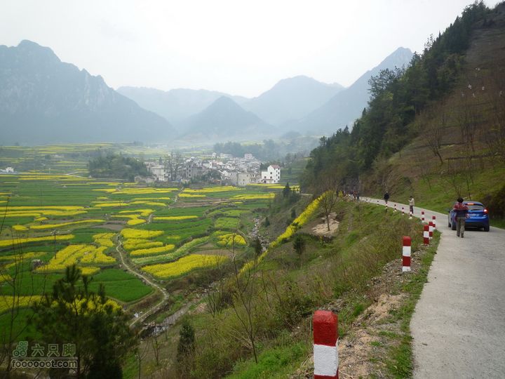 家朋油菜花，荆州小九华(添加一些去年新安江山水画廊的)P1090030