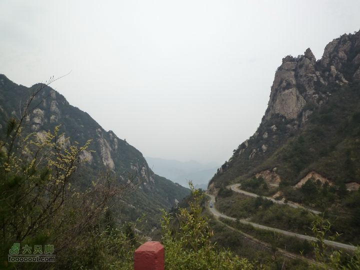 家朋油菜花，荆州小九华(添加一些去年新安江山水画廊的)P1090055