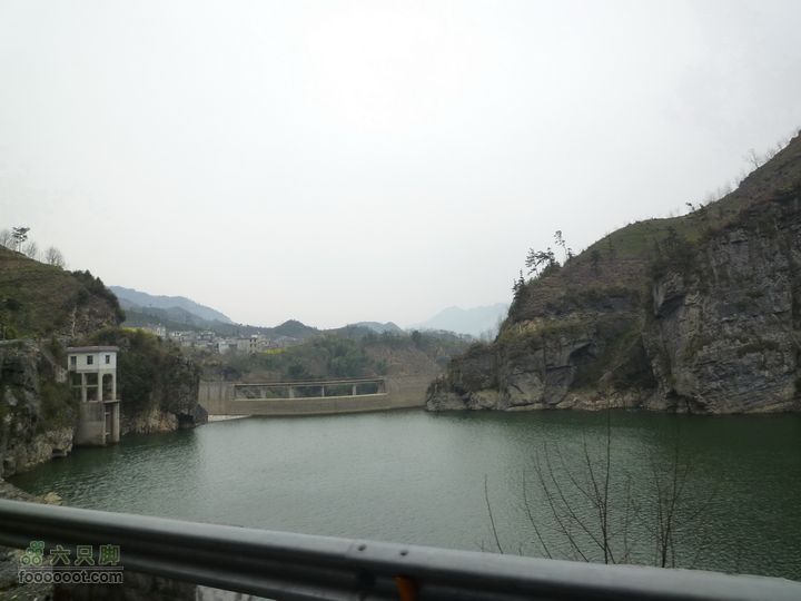 家朋油菜花，荆州小九华(添加一些去年新安江山水画廊的)P1090079