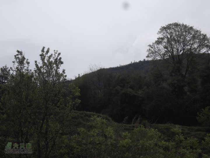 2012年4月15日万坪杉木河水库万福线景色还是不错，就是相机不行