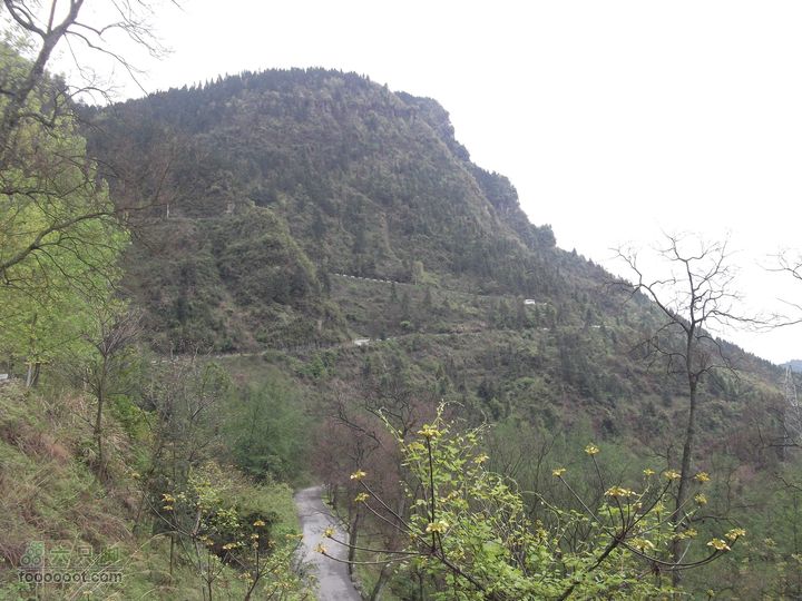 2012年4月15日万坪杉木河水库万福线盘山公路