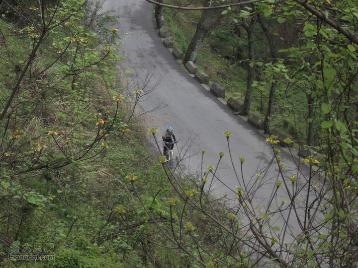 2012年4月15日万坪杉木河水库万福线飞鱼
