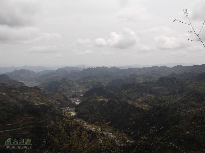 2012年4月15日万坪杉木河水库万福线坡顶风景