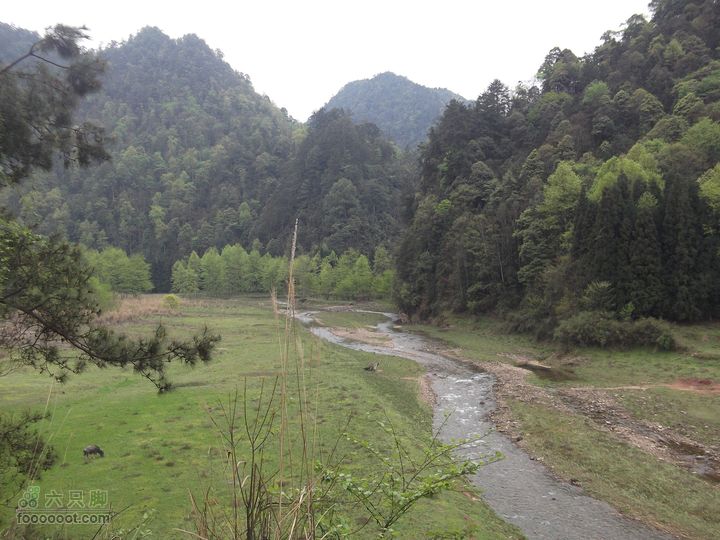 2012年4月15日万坪杉木河水库万福线水库美景
